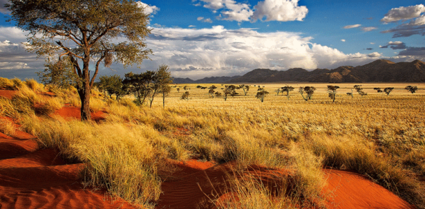 Studienreise Namibia