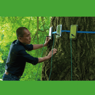 Film des Monats – Silent Friend Film des Monats – Silent Friend