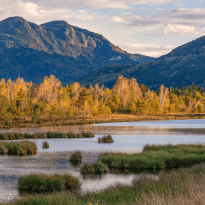 Bayerns wilde Moore Bayerns wilde Moore