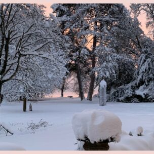 Weihnachtgrüße 2024, verschneiter Park der Evangelischen Akademie Tutzing (Foto: ma / eat archiv)